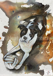 Examples Of Bespoke Dog Portraits Pet Portrait