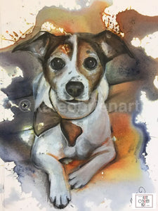 Examples Of Bespoke Dog Portraits Pet Portrait