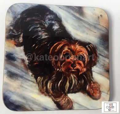 Terrier Coaster